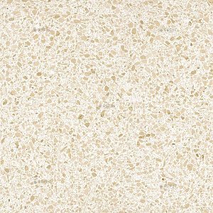 Beige Medium R